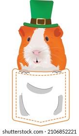 Guinea Pig with Irish green hat looking out of the shirt pocket