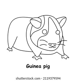 guinea pig line art illustration animal vector