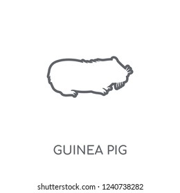 Guinea pig linear icon. Modern outline Guinea pig logo concept on white background from animals collection. Suitable for use on web apps, mobile apps and print media.