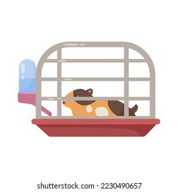 Guinea pig in metal cage cartoon illustration. Cartoon drawing of home or house for rodent or hamster isolated on white background. Animal care, pets, occupation, equipment concept