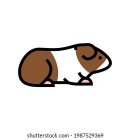 guinea pig pet color icon vector. guinea pig pet sign. isolated symbol illustration