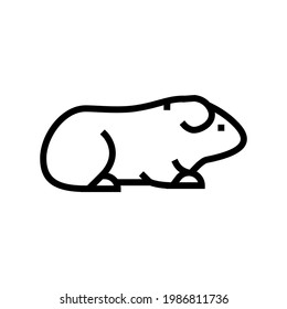 guinea pig pet line icon vector. guinea pig pet sign. isolated contour symbol black illustration