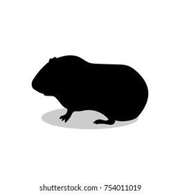 Guinea pig pet rodent black silhouette animal. Vector Illustrator.	