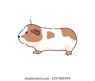 Guinea pig pet. Vector animal rodent icon.