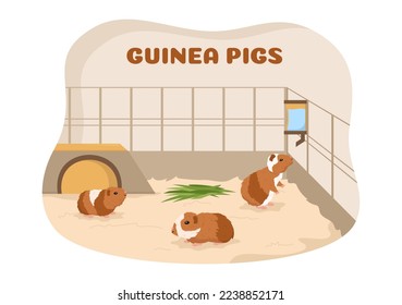 Guinea Pig Pets Hamsters Animals Breeds Suitable for Poster or Greeting Card in Flat Cute Cartoon Hand Drawn Templates Illustration