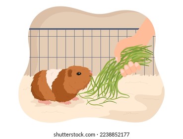 Guinea Pig Pets Hamsters Animals Breeds Suitable for Poster or Greeting Card in Flat Cute Cartoon Hand Drawn Templates Illustration