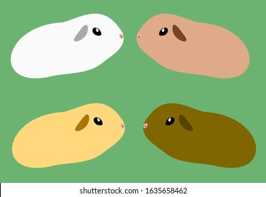 Guinea pig set on green backround