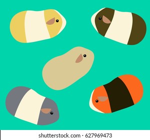 Guinea pig set or template background vector.