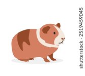 Guinea pig simple vector illustration. Dutch guinea pig cartoon clipart, animal in flat style. Farm animals concept, rural farming. Livestock animal guinea pig vector design isolated on white