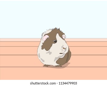 guinea pig sitting in a room, vector