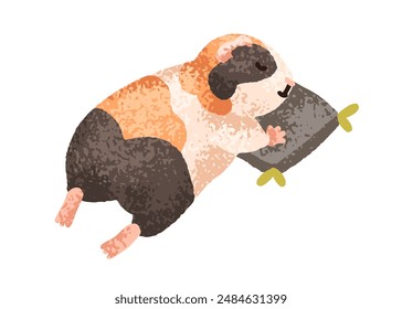 Guinea pig sleeping, dreaming on pillow. Cute kawaii cavy pet asleep, lying on belly, relaxing, slumbering. Sweet tame rodent, hamster animal. Flat vector illustration isolated on white background