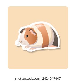 Guinea pig sticker illustration. Animal, ears, paws, fluffy, colorful. Editable vector graphic design.