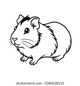 guinea pig, guinea pig vector, cute guinea pig, cartoon guinea pig, vector illustration