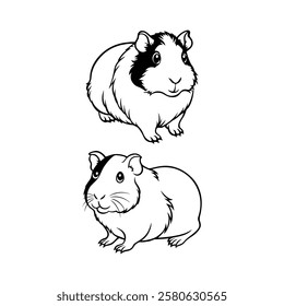 guinea pig, guinea pig vector, cute guinea pig, cartoon guinea pig,  vector illustration