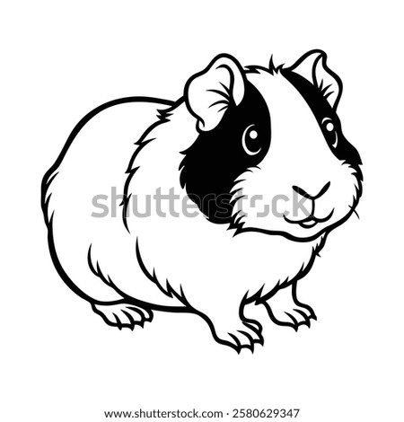 guinea pig, guinea pig vector, cute guinea pig, cartoon guinea pig,