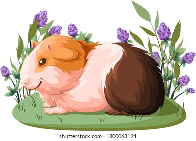 Guinea pig. Vector illustration. Cavia porcellus.