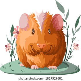 Guinea pig. Vector illustration. Cavia porcellus.