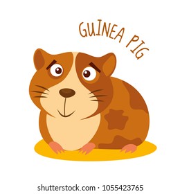 Guinea pig Vector illustration isolated