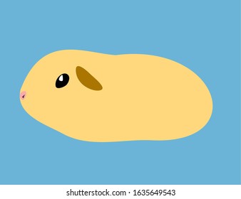 Guinea pig vector on blue background.
