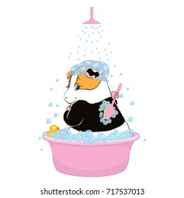 Guinea pig washed in the basin.