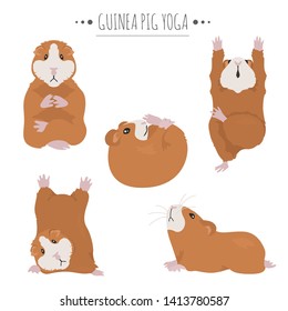 Guinea pig yoga poses and exercises. Cute cartoon clipart set. Vector illustration