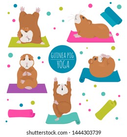 Guinea pig yoga poses and exercises. Cute cartoon clipart set. Vector illustration