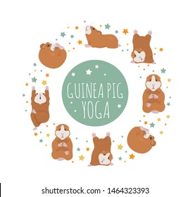 Guinea pig yoga poses and exercises. Cute cartoon clipart set. Vector illustration