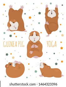 Guinea pig yoga poses and exercises. Cute cartoon clipart set. Vector illustration