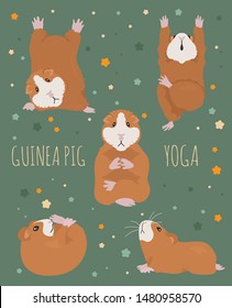 Guinea pig yoga poses and exercises. Cute cartoon clipart set. Vector illustration