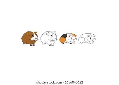 Guinea pigs Animal Cartoon Vector Illustration Bundle