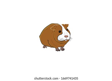 Guinea Pigs Animal Cartoon Vector Illustration