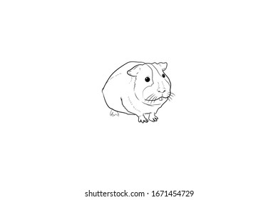 Guinea Pigs Animal Cartoon Vector Outline Illustration