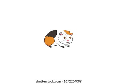 Guinea Pigs Animal Cartoon Vector Illustration