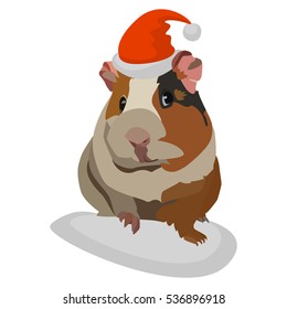 Guinea Pigs Christmas