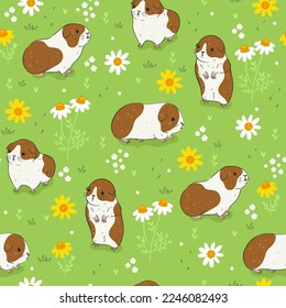 Guinea pigs on flower meadows seamless pattern. Vector graphics.