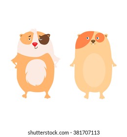 Guinea pigs (vector)