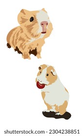 Guinea pigs vector brown and beige 