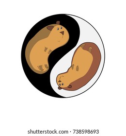 Guinea pigs in a Yin and Yang. Background with Yin and Yang. Vector illustration.