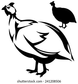 guineafowl (Numida meleagris) bird vector design - standing guinea hen profile outline and silhouette