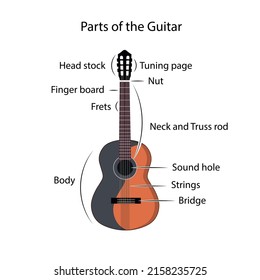 
guitar part illustration isolated on white background