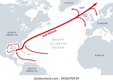 Gulf Stream, mapa político gris. Una corriente cálida y veloz del Océano Atlántico, originada en el Golfo de México, que fluye a través del Estrecho de Florida hasta las costas de Estados Unidos y Canadá.