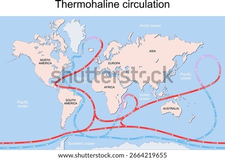 Gulf Stream, Ocean currents and thermohaline circulation. Blue paths represent deep water currents, red paths - surface currents. Detailed Vector poster
