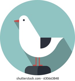 Gull, albatross. Vector icon