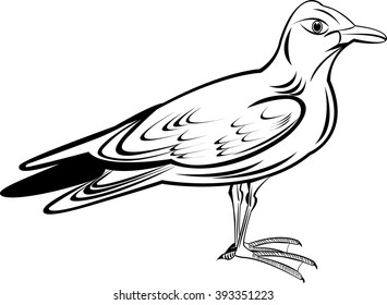 Gull ,
Gull,  All elements are in separate layers color can be changed easily 