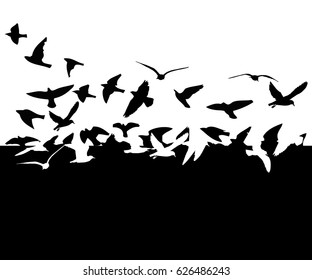 Gull background. Vector