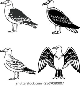 Gull bird bundle line art and illustrator eps