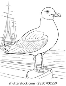 gull bird coloring page vector illustration