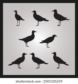 Gull bird silhouette set Clipart on a hex color background