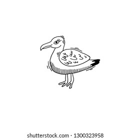 gull bird sketch drawing icon summer themed, vector illustration
