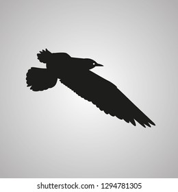 Gull - flying bird silhouette - vector